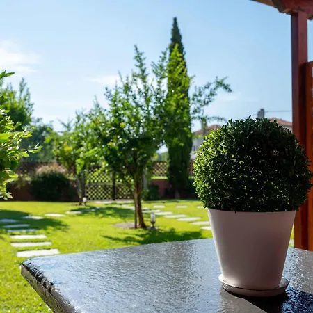 شقة Melograno And