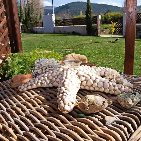 Melograno And بلاك كالا