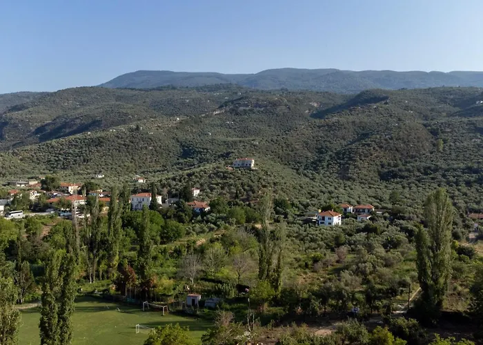 Melograno And アパート